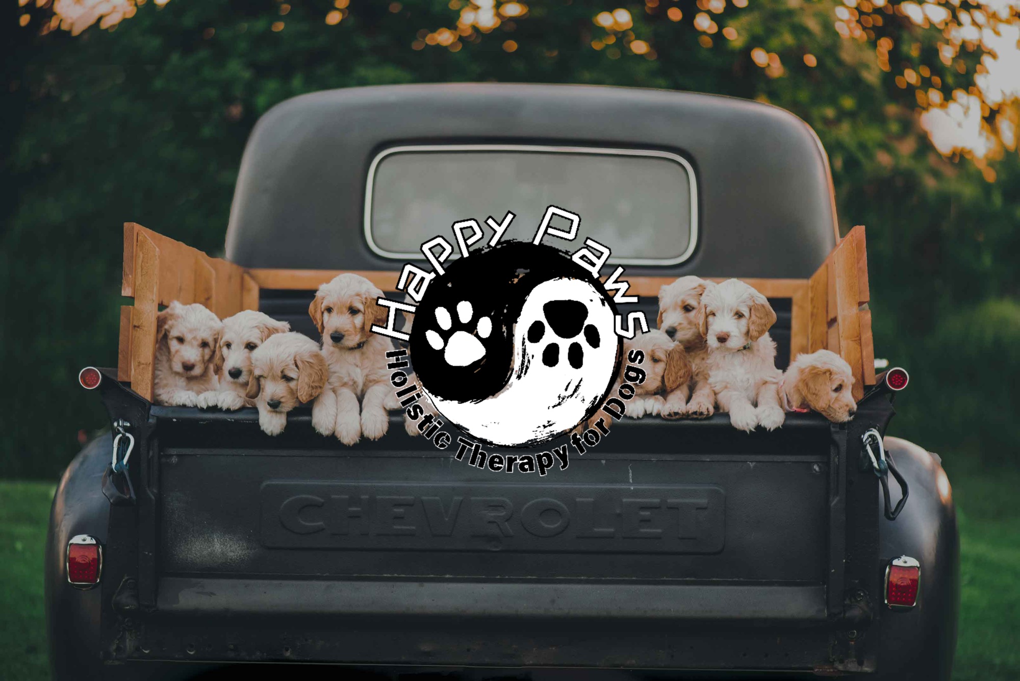 Happy Paws artwork showing puppies in the back of a vintage truck